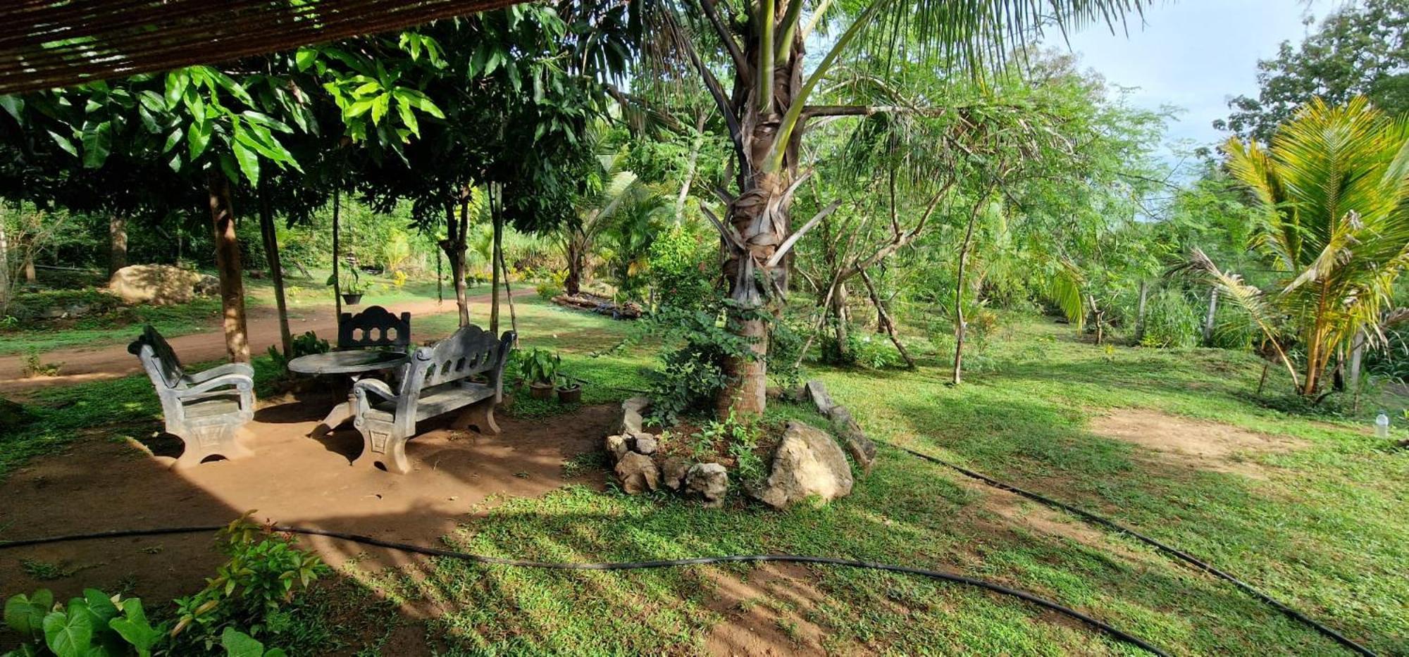 Jungle Eco Lodge & Safari Sigiriya Exterior photo